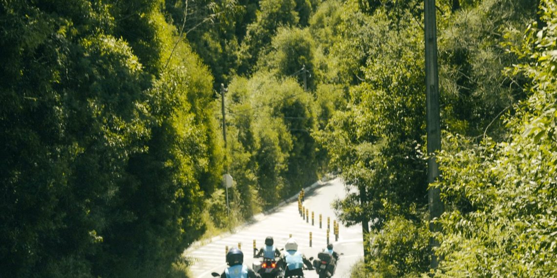 Entre Penafiel e Alcobaça com paisagens para todos os gostos